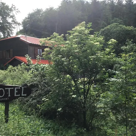 Restaurant La Fourmi Hotel Bourbach-le-Haut