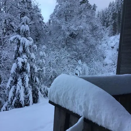 Restaurant La Fourmi Bourbach-le-Haut