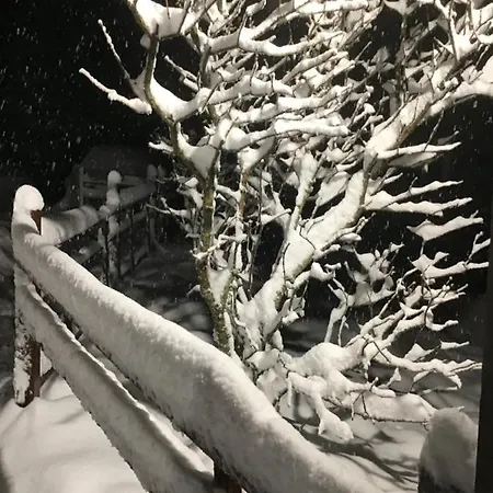 Restaurant La Fourmi *