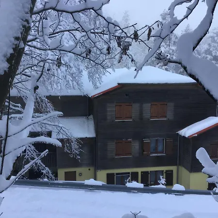 酒店 Restaurant La Fourmi Bourbach-le-Haut