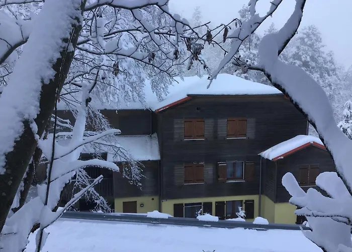 Otel Restaurant La Fourmi Bourbach-le-Haut